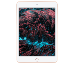 iPad mini 5